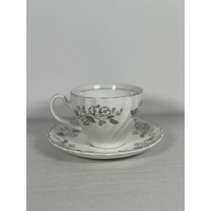 Antique Johnson Bros Tea Cup & Saucer Floral, Blackberries, Raspberries, Regency